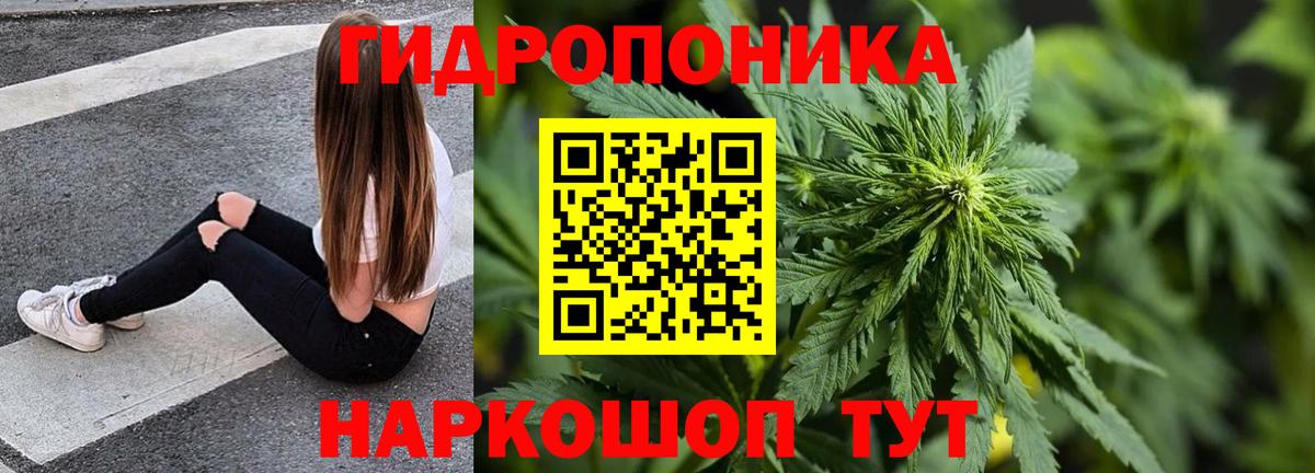 Каннабис OG Kush  Марихуана гибрид  Вход с VPN  Менделеевск 